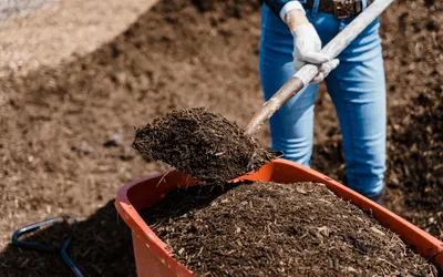 Dog Waste Composting