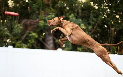 Waste Station Maintenance