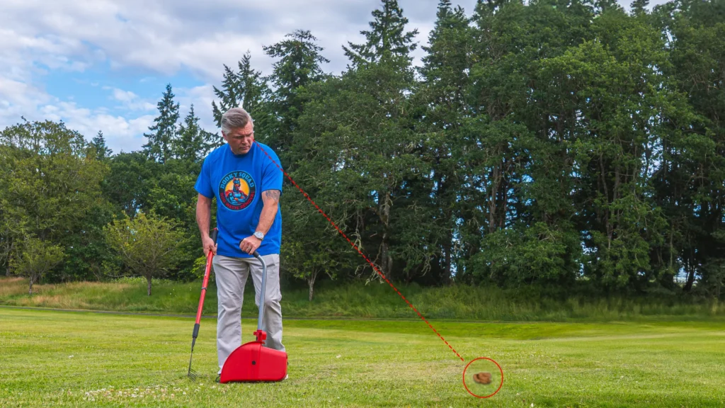 The Complete Guide to Dog Waste Cleanup Services