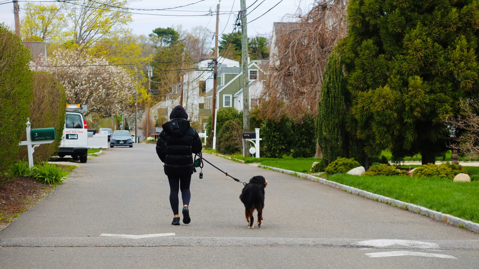 Dog Poop Deterrent Guide: How to Keep Other People's Dogs Out of Your Yard