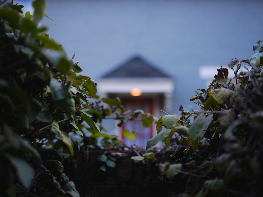 Pet Feces Removal: The Hidden Health Risks in Your Backyard