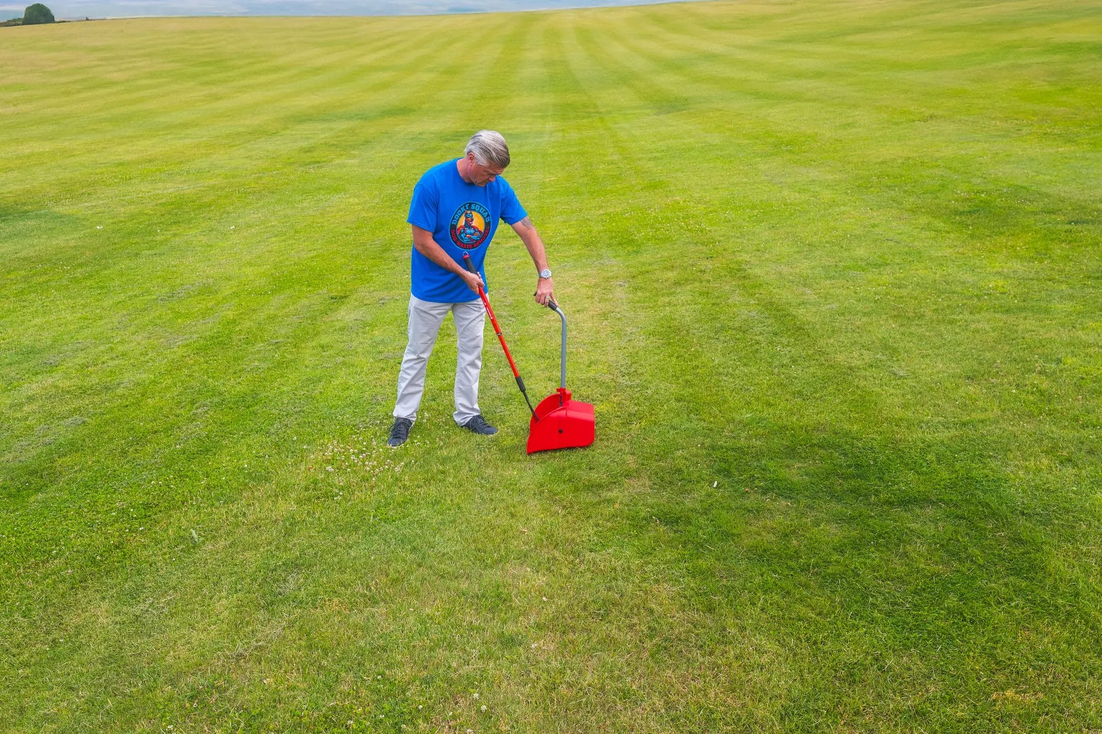 The Best Ways to Get Rid of Dog Poop (2026)