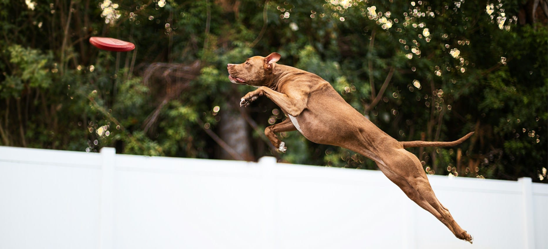 Waste Station Maintenance